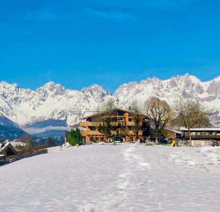 Das Kitz - Chalet Steuerberg Xl Kitzbuehel エクステリア 写真